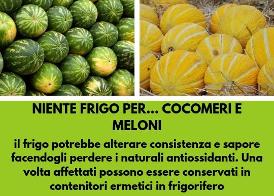 Canva Cocomeri e Meloni .jpg